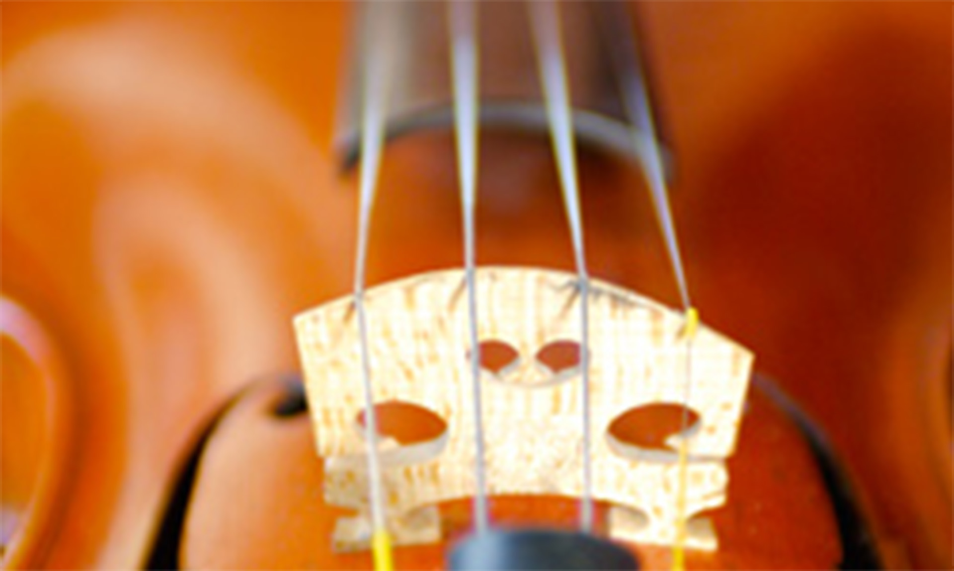 A close-up image of the bridge of a stringed instrument.