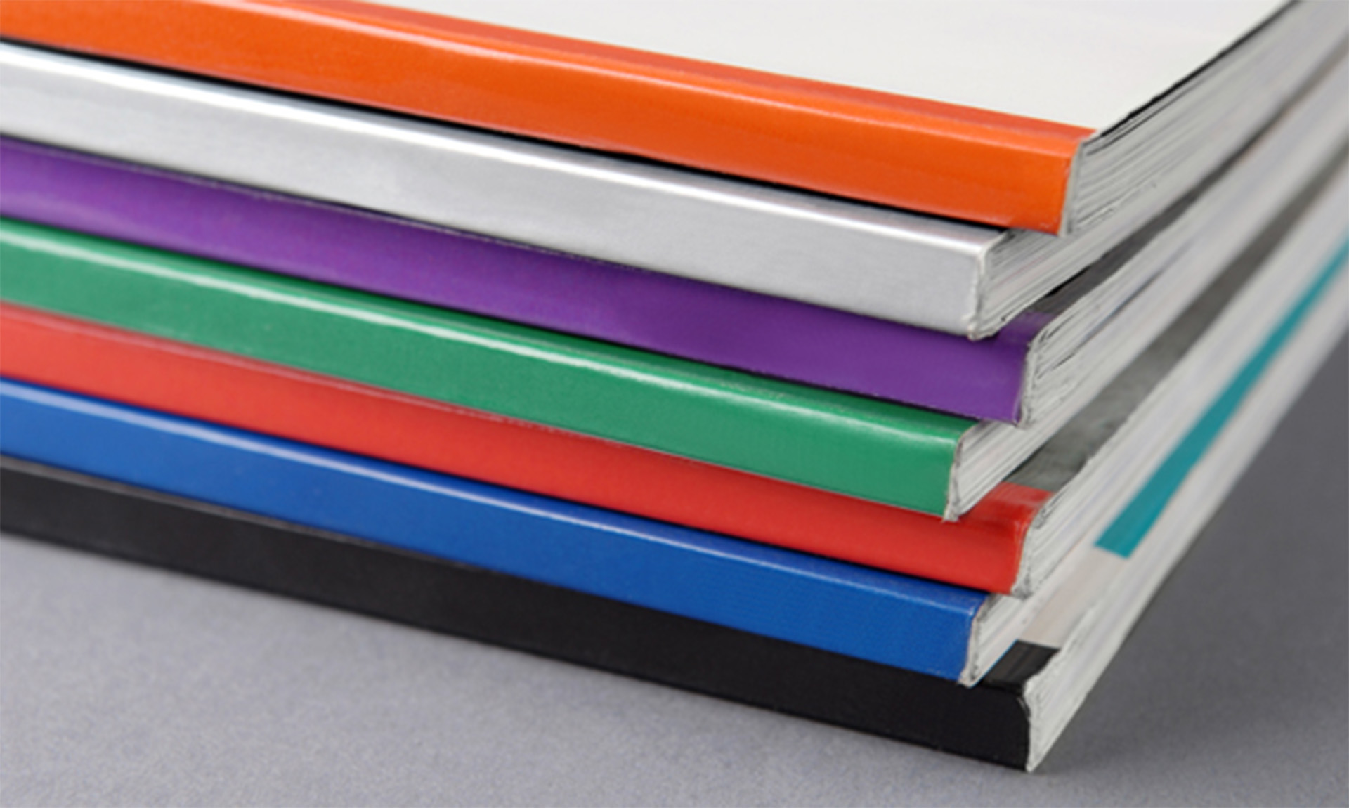 Perspectives on Language and Literacy