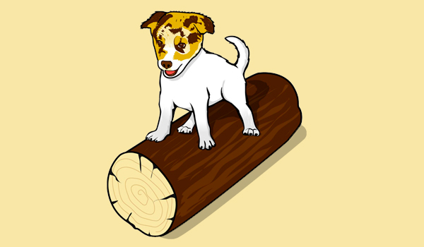 Dog on a Log Book Series