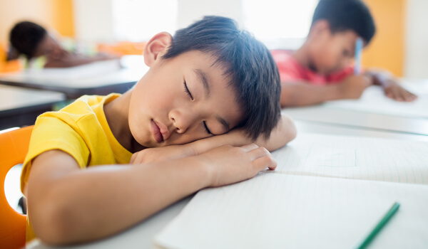 Portrait of a young boy asleep on his desk in school.